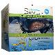 Image for Succeed Paste